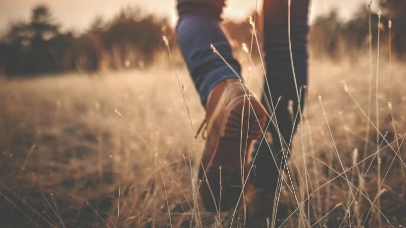 Marche douce en pleine nature