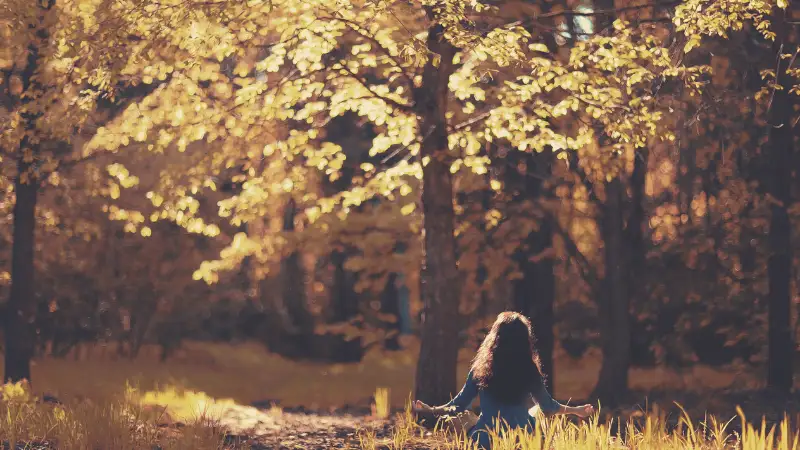 méditation en pleine nature au milieu de la forêt